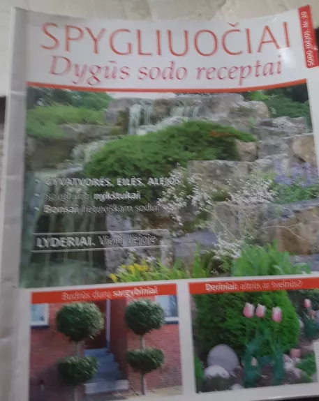 Spygliuočiai: Dygūs sodo receptai