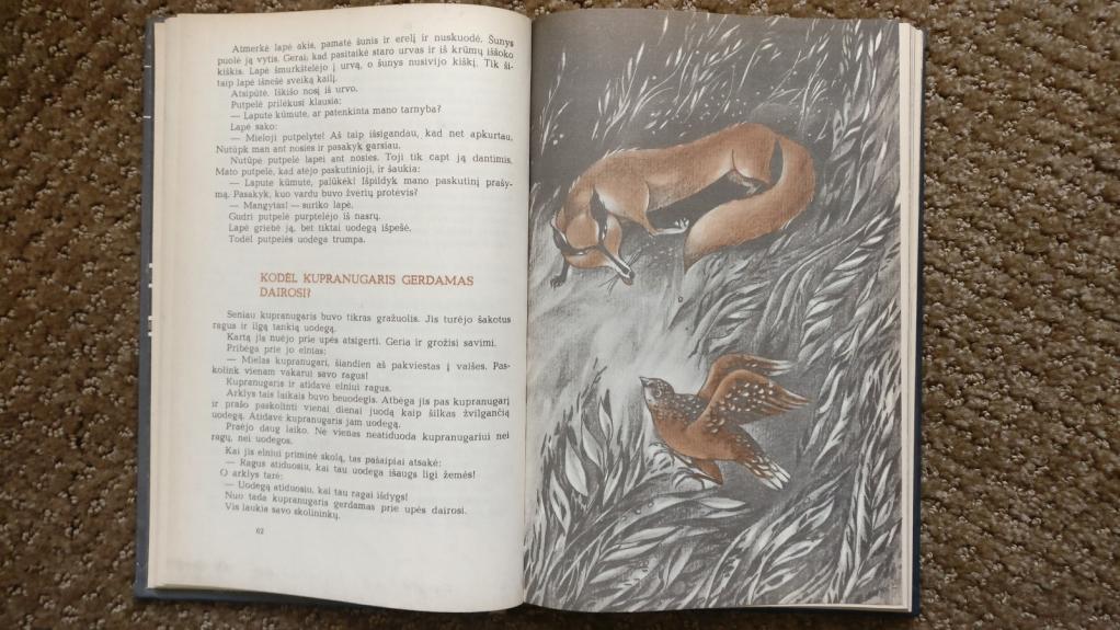 Gražuolė Miržana - Autorių Kolektyvas, knyga 1