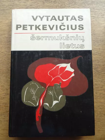 Šermukšnių lietus - Vytautas Petkevičius, knyga
