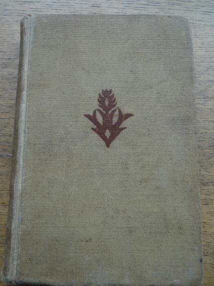 Meisteris ir sūnūs