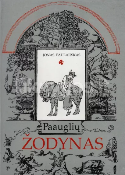 Paauglių žodynas