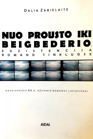 Nuo Prousto iki Beigbederio: egzistencija romano tinkluose - Dalia Zabielaitė, knyga