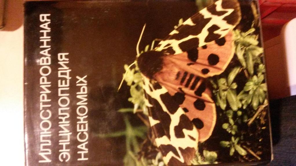 Иллюстрированная энциклопедия