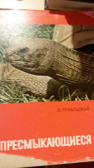 Пресмыкающиеся