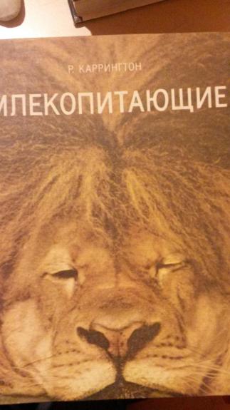 Млекопитающие