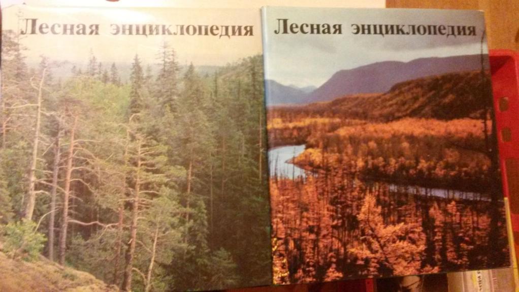 Лесная энциклопедия