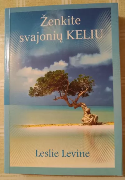 Ženkite svajonių keliu - Leslie Levine, knyga