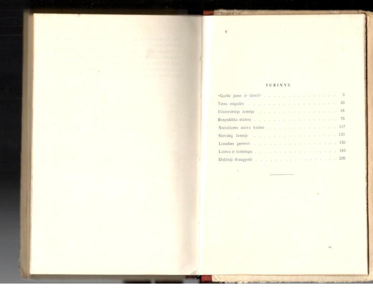 Naujoji Čekoslovakija