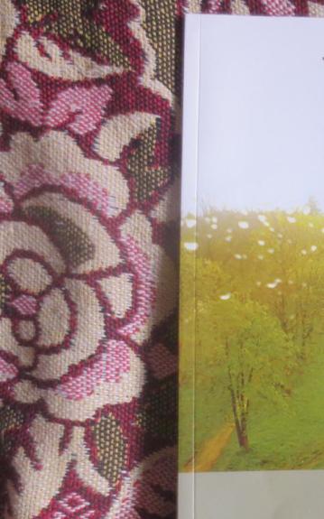 Moksleivių fotografija 2008/7