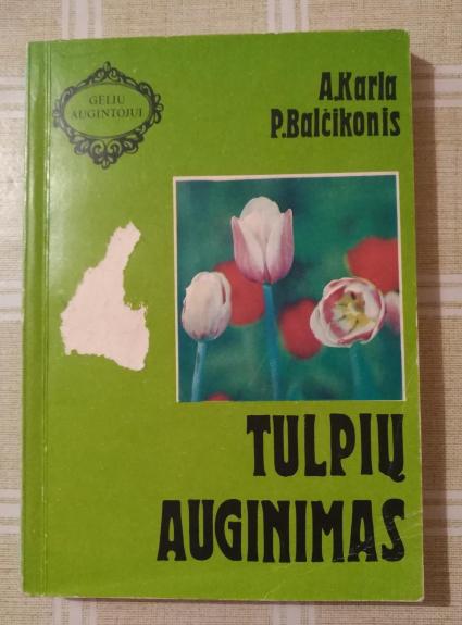 Tulpių auginimas