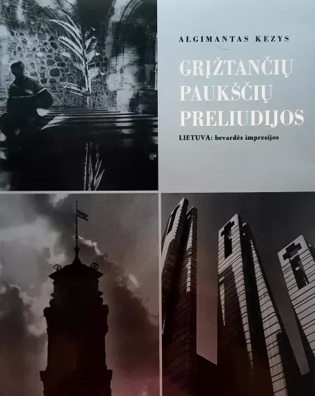 Grįžtančių paukščių preliudijos - Algimantas Kezys, knyga