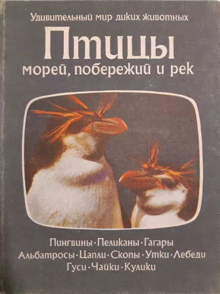 Птицы морей, побережий и рек