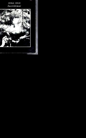 Susitikimai (eilėraščiai, fotografijos)