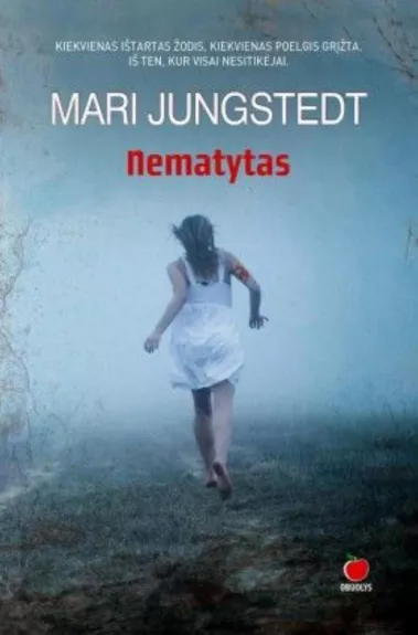 Nematytas - Mari Jungstedt, knyga