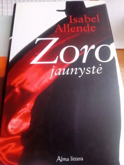 Zoro jaunystė - Isabel Allende, knyga