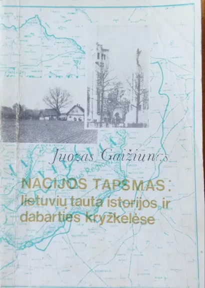 Nacijos tapsmas: lietuvių tauta istorijos ir dabarties kryžkelėse - Juozas Gaižiūnas, knyga 1