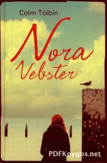 Nora Vebster - Colm Toibin, knyga
