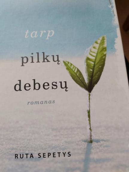 Tarp pilkų debesų - Šepetys Ruta, knyga