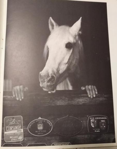 Jumoristia Marostica