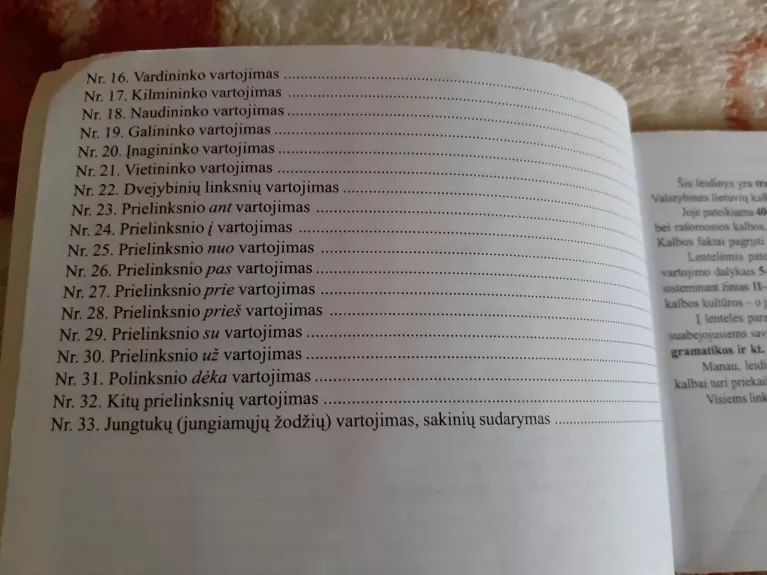 Lietuvių kalbos gramatikos lentelės: vartosena - J. Juzėnienė, knyga 1