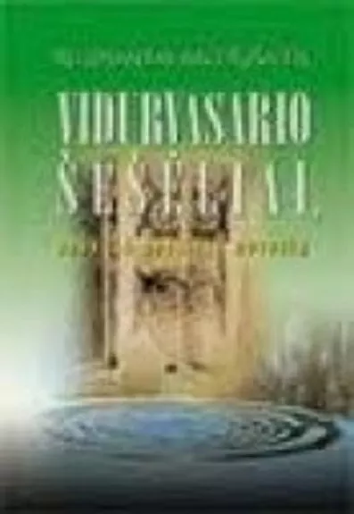 Vidurvasario šešėliai, arba vienuolika nerišlių novelių - Regimantas Baltrušaitis, knyga