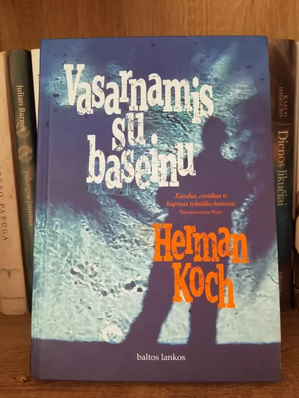 Vasarnamis su baseinu