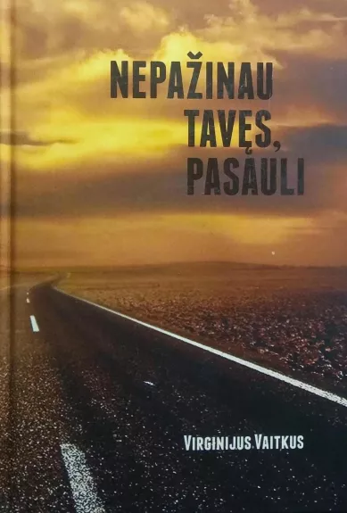 Nepažinau tavęs, pasauli