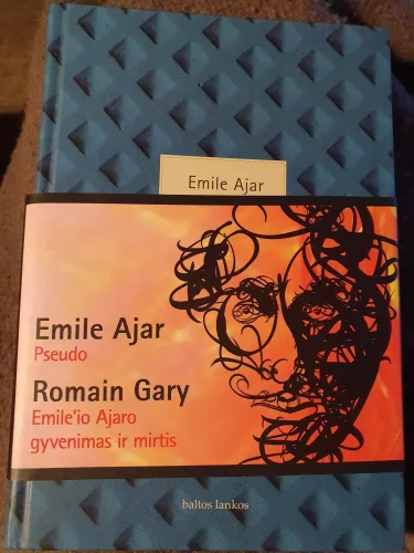 Emile'io Ajar'o gyvenimas ir mirtis - Romain Gary, knyga
