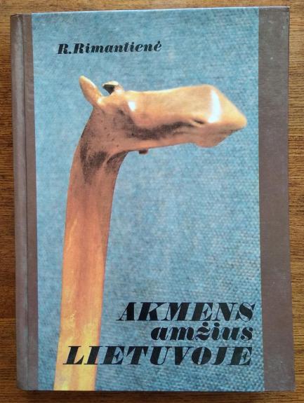 Akmens amžius Lietuvoje - R. Rimantienė, knyga