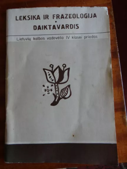 Leksika ir frazeologija. Daiktavardis - L. Gedvilas, A.  Girdenis, L.  Kadžytė, knyga