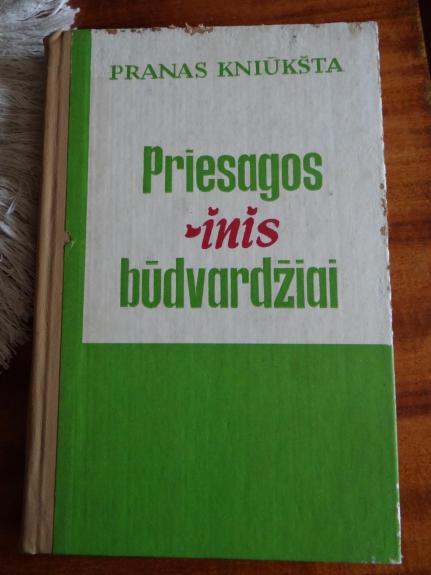 Priesagos -inis būdvardžiai (daryba, reikšmės, gramatiniai sinonimai)