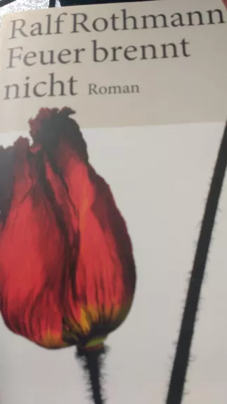 Feuer brennt nicht - Rothmann Ralf, knyga