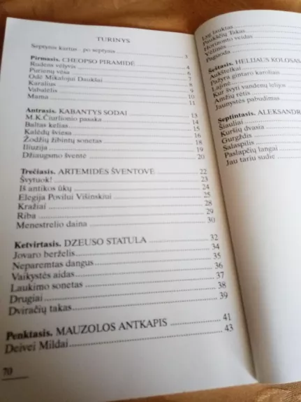 Elnias devyniaragis - Stasys Bulzgis, knyga 1