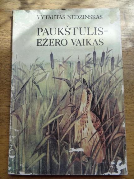 Paukštulis-ežero vaikas