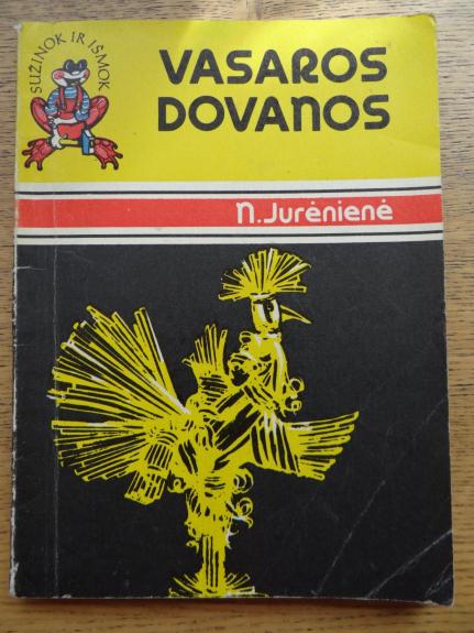 Vasaros dovanos - N. Jurėnienė, knyga