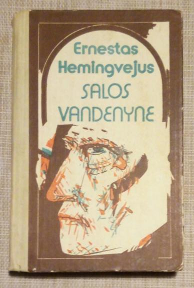 Salos vandenyne