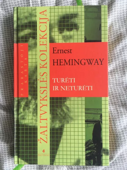 Turėti ir neturėti - Ernest Hemingway, knyga