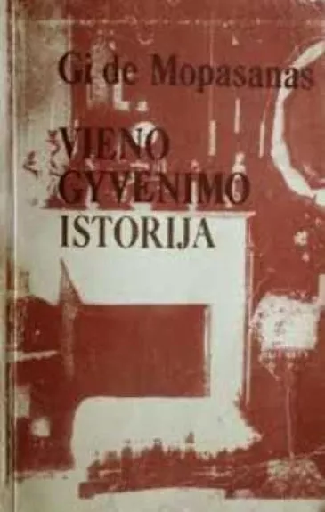 Vieno gyvenimo istorija