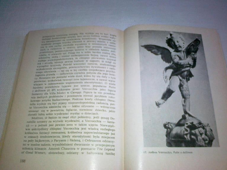 Wczesny renesans - Michael Levey, knyga 1