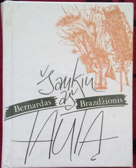Šaukiu aš tautą - Bernardas Brazdžionis, knyga
