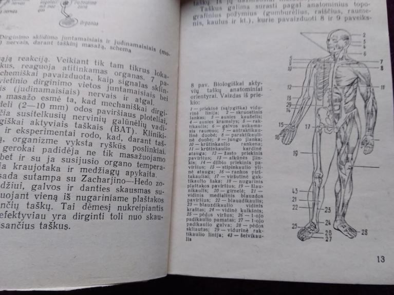 Taškinis masažas - V. Dubrovskis, knyga 1