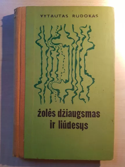 Žolės džiaugsmas ir liūdesys - Vytautas Rudokas, knyga