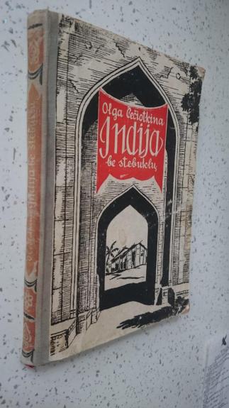 Indija be stebuklų - Olga Čečiotkina, knyga