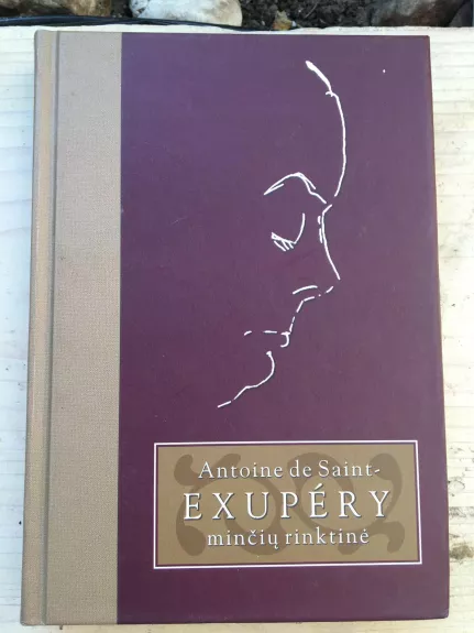 Minčių rinktinė - Antoine de Saint-Exupéry, knyga