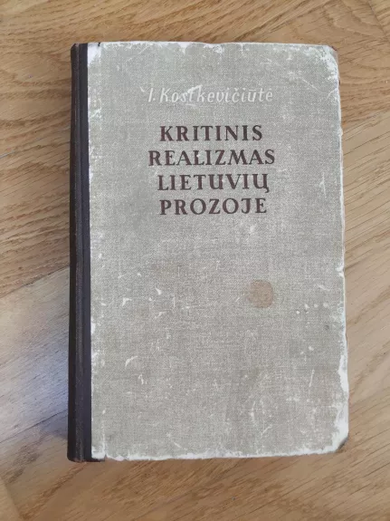 Kritinis realizmas lietuvių prozoje - Irena Kostkevičiūtė, knyga