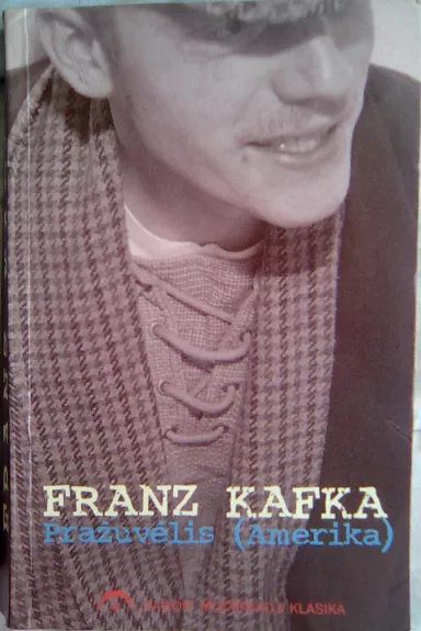 Pilis - Franz Kafka, knyga