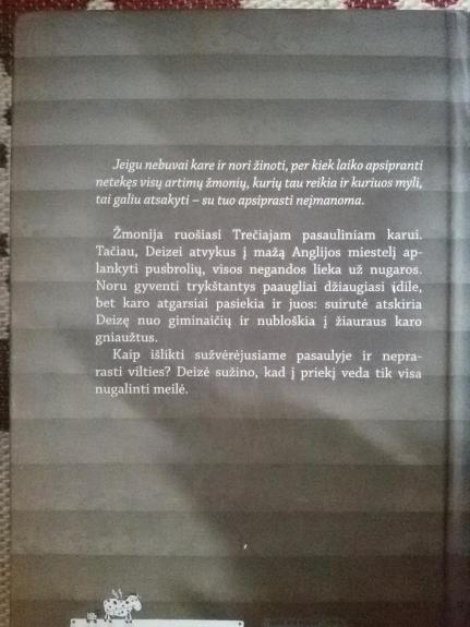 Taip dabar ir gyvenu