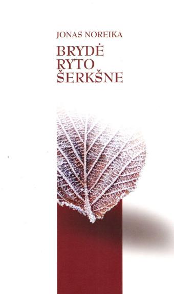 Brydė ryto šerkšne - Jonas Noreika, knyga