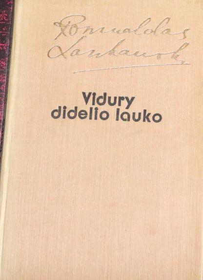 Vidury didelio lauko