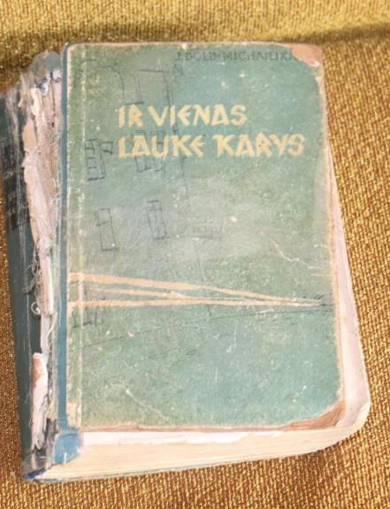 Ir vienas lauke karys
